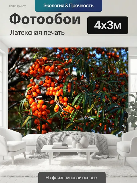 400 × 300 см · Латексная печать