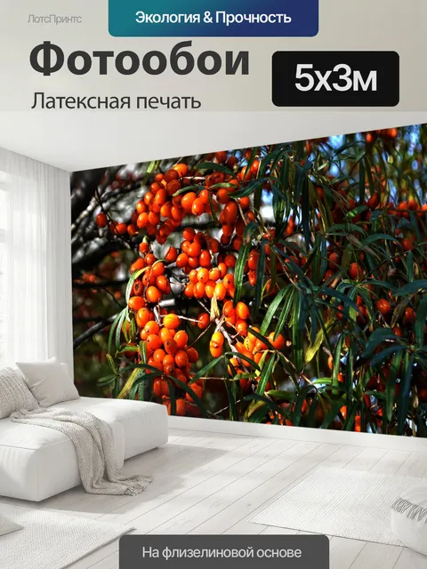 500 × 300 см · Латексная печать