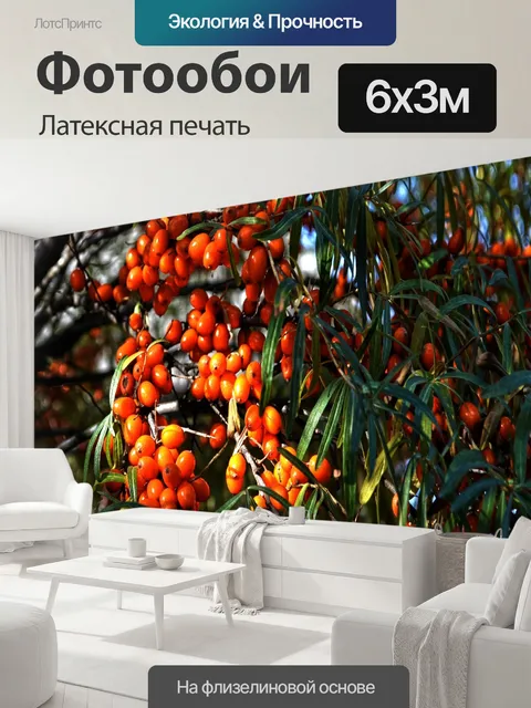 600 × 300 см · Латексная печать