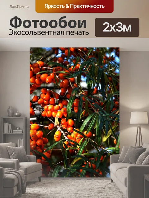 200 × 300 см · Экосольвентная печать