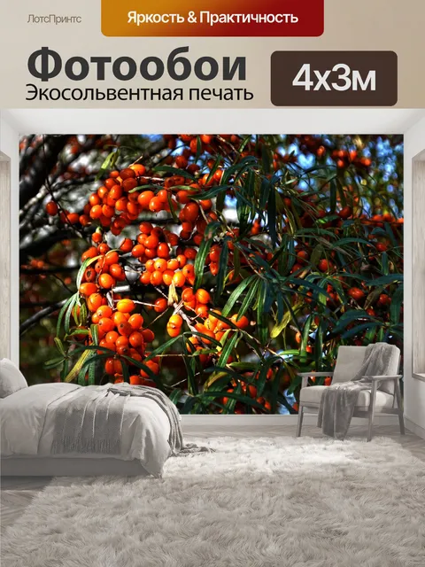 400 × 300 см · Экосольвентная печать