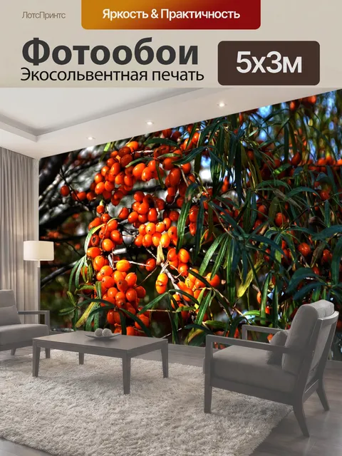 500 × 300 см · Экосольвентная печать