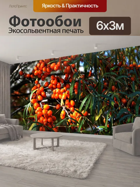 600 × 300 см · Экосольвентная печать