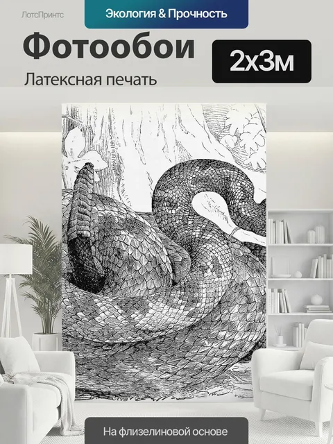 200 × 300 см · Латексная печать