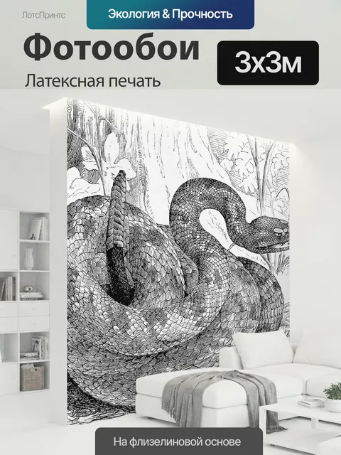300 × 300 см · Латексная печать
