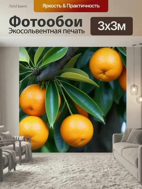 Фотообои Апельсины, висящие на дереве