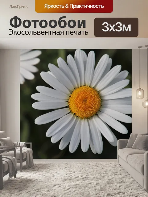Фотообои Луг, зерновой, ромашки