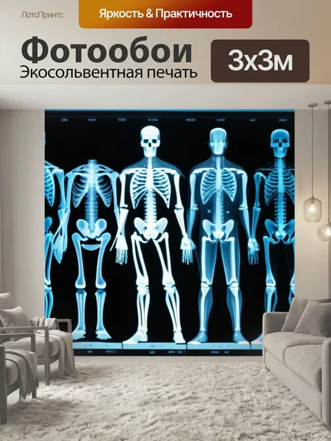 Фотообои Соотношение между рентгеном и клиническими данными