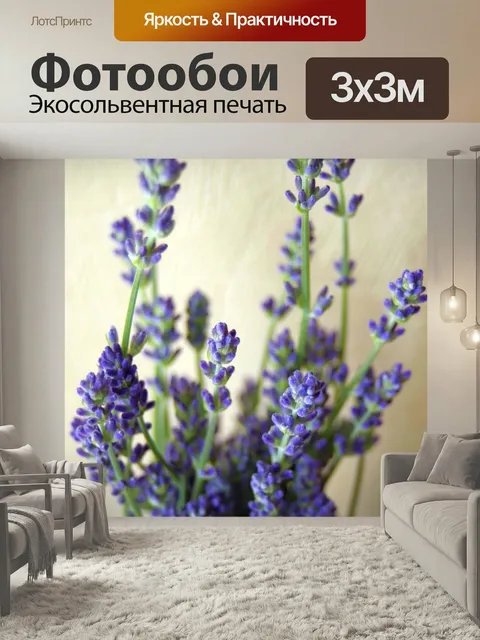 Фотообои Лаванда, цветы, лиловый цветок