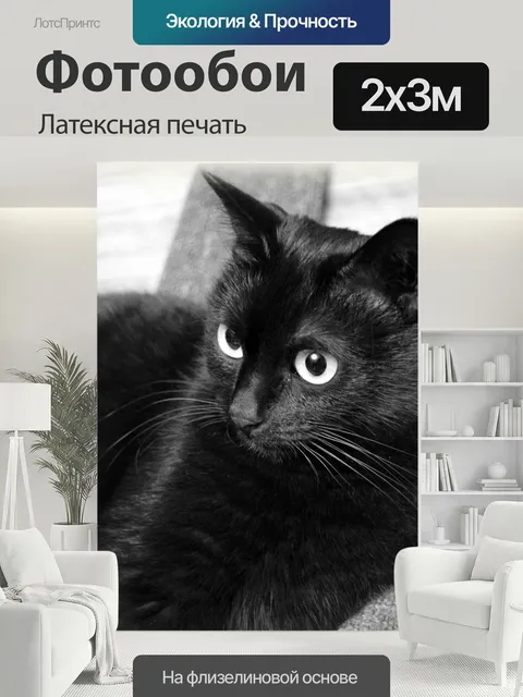 200 × 300 см · Латексная печать