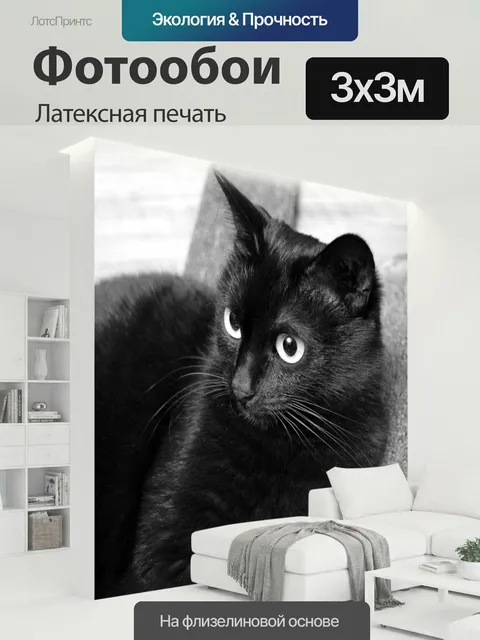 300 × 300 см · Латексная печать