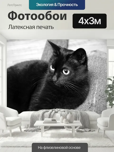 400 × 300 см · Латексная печать