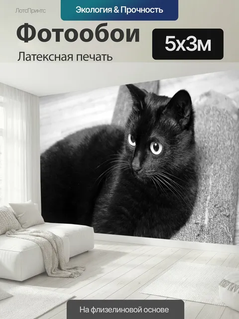500 × 300 см · Латексная печать