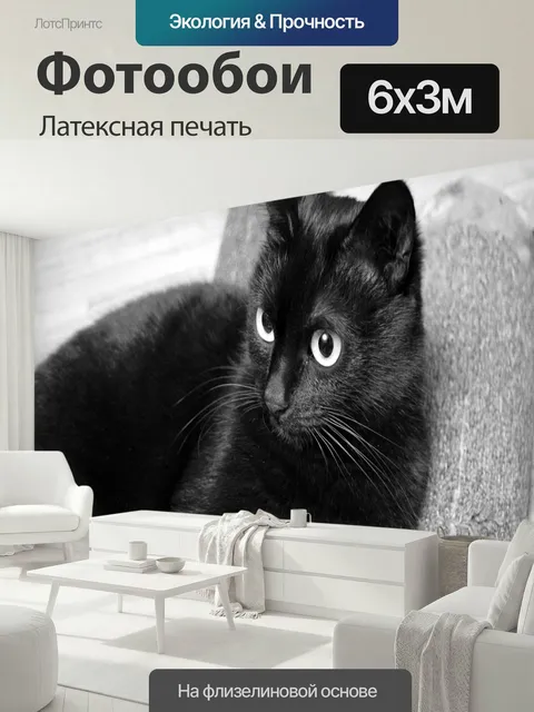 600 × 300 см · Латексная печать