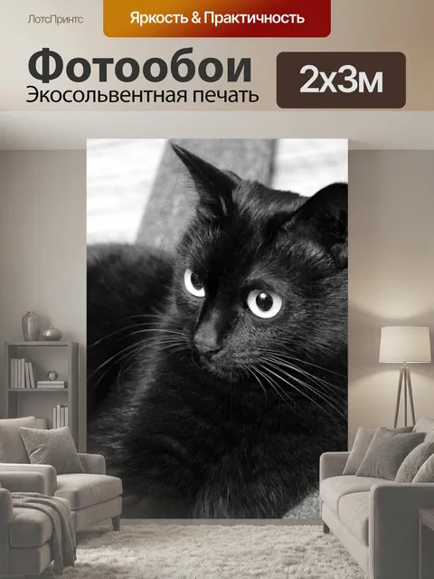 200 × 300 см · Экосольвентная печать
