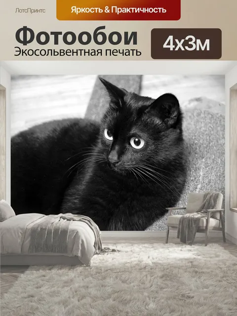 400 × 300 см · Экосольвентная печать