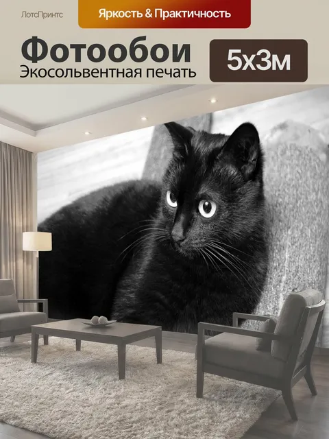 500 × 300 см · Экосольвентная печать