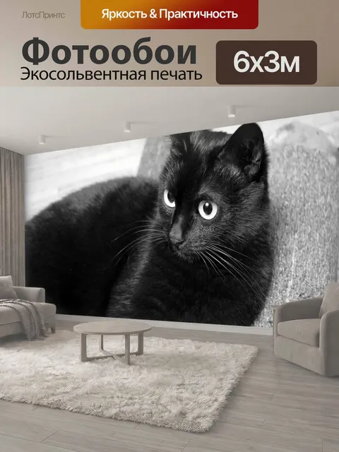 600 × 300 см · Экосольвентная печать