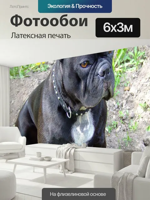 600 × 300 см · Латексная печать