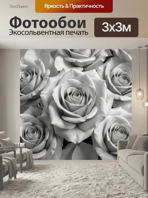 Фотообои Нежные белые розы крупным планом. Элегантная монохромная композиция с распустившимися бутонами в серо-белой г…