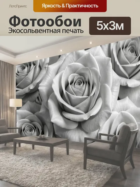 Фотообои Нежные белые розы крупным планом