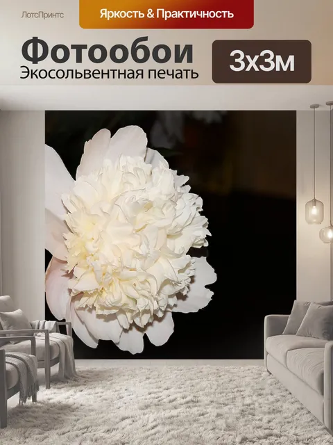Фотообои Пион, белый, цвести