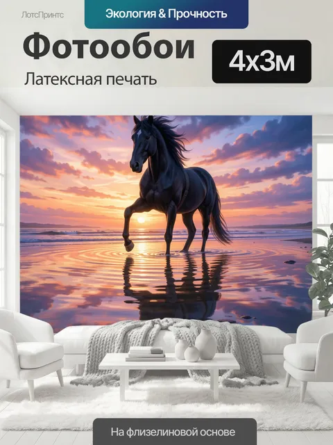 400 × 300 см · Латексная печать