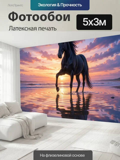 500 × 300 см · Латексная печать