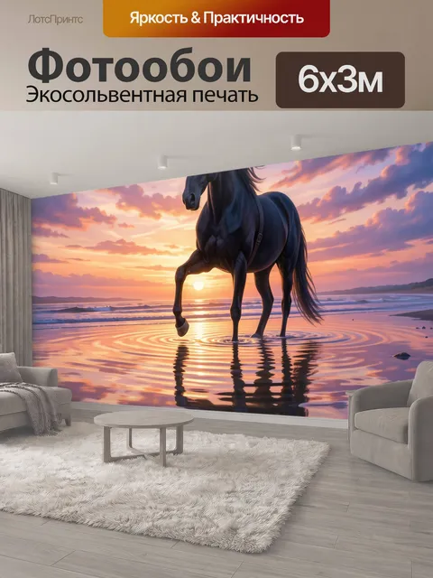 600 × 300 см · Экосольвентная печать