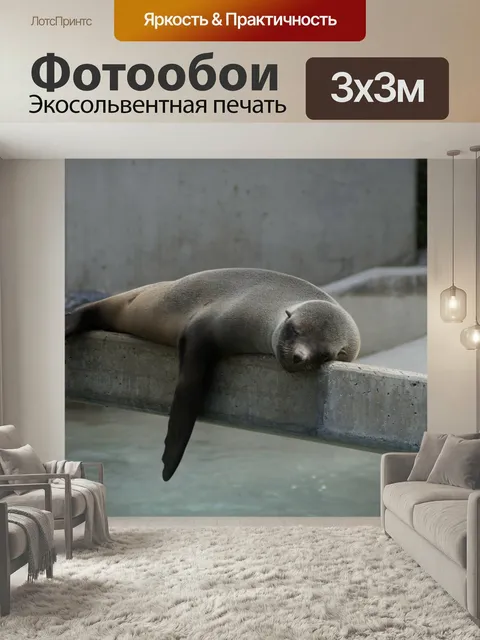 Фотообои Тюлень, проплывающих, ленивый