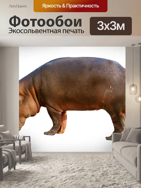 Фотообои Бегемот, млекопитающее, зоопарк