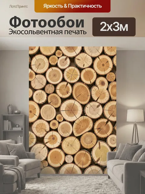 200 × 300 см · Экосольвентная печать