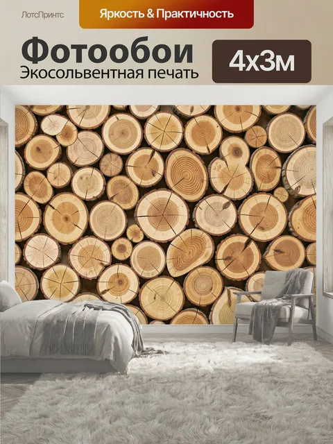 400 × 300 см · Экосольвентная печать