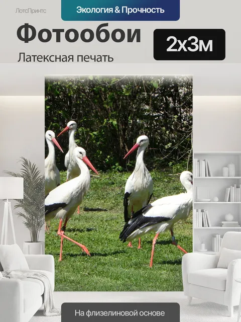 200 × 300 см · Латексная печать