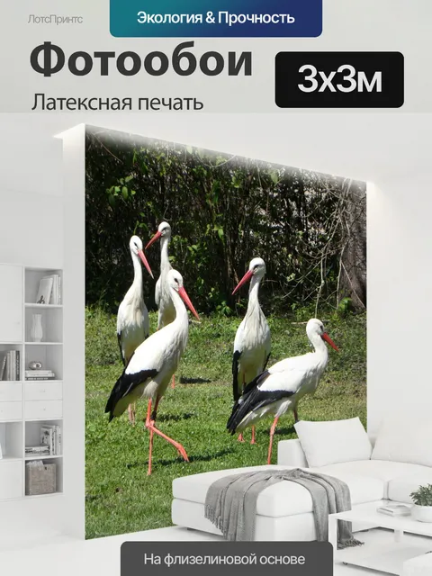 300 × 300 см · Латексная печать