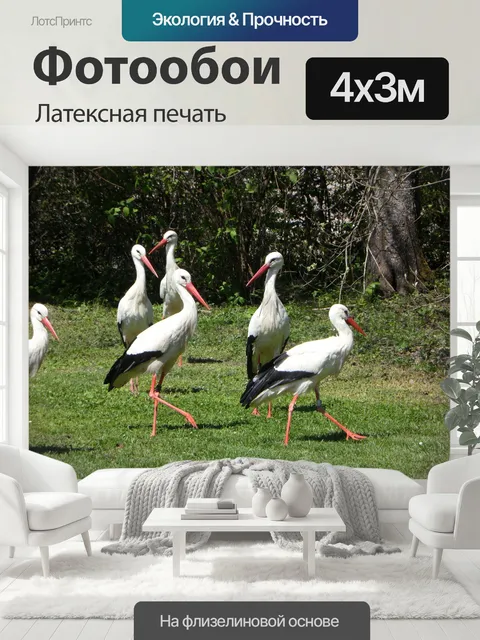 400 × 300 см · Латексная печать
