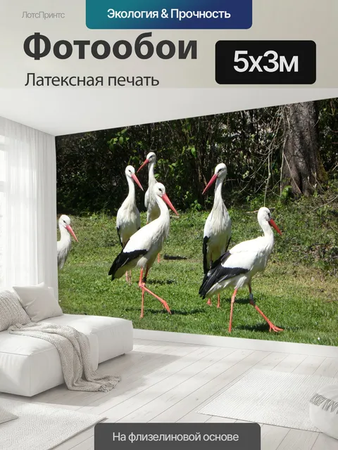 500 × 300 см · Латексная печать