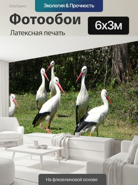 600 × 300 см · Латексная печать