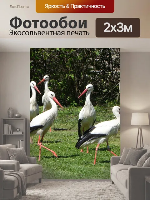 200 × 300 см · Экосольвентная печать