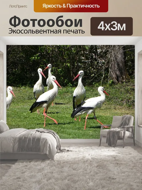 400 × 300 см · Экосольвентная печать