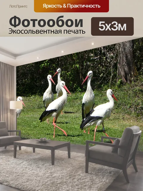 500 × 300 см · Экосольвентная печать