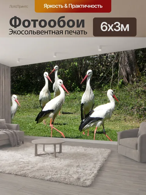 600 × 300 см · Экосольвентная печать