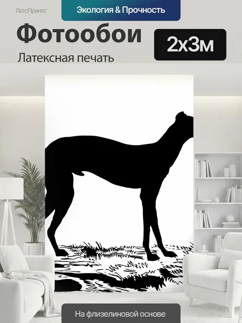 200 × 300 см · Латексная печать