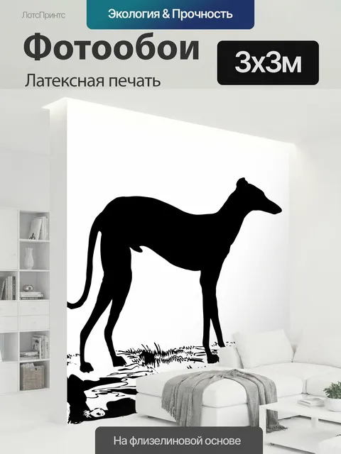300 × 300 см · Латексная печать