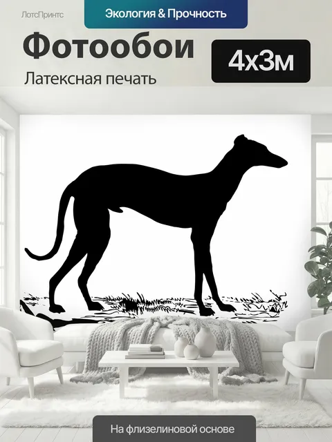 400 × 300 см · Латексная печать