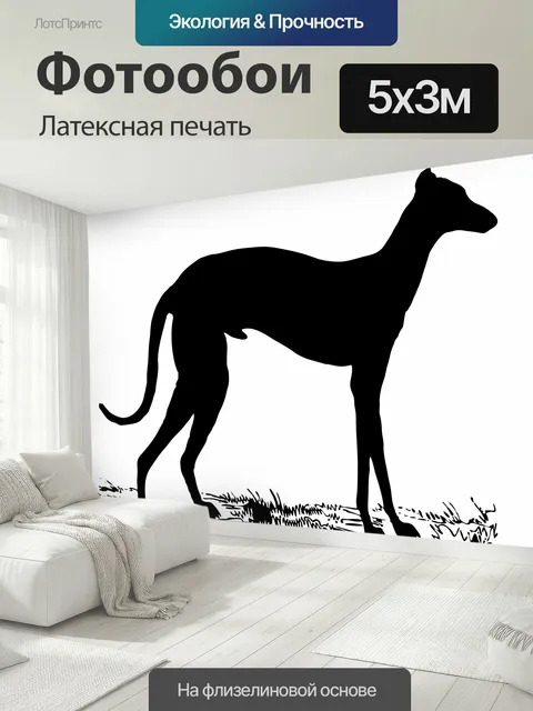 500 × 300 см · Латексная печать