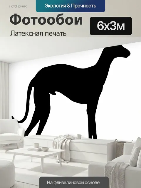 600 × 300 см · Латексная печать