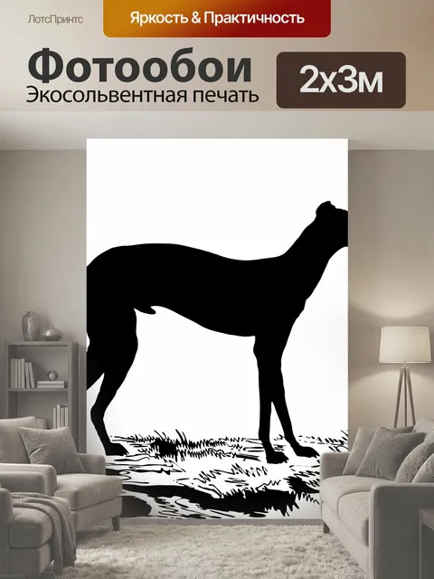 200 × 300 см · Экосольвентная печать