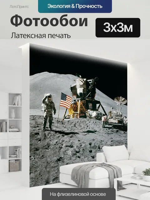 300 × 300 см · Латексная печать