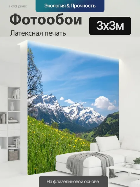 300 × 300 см · Латексная печать